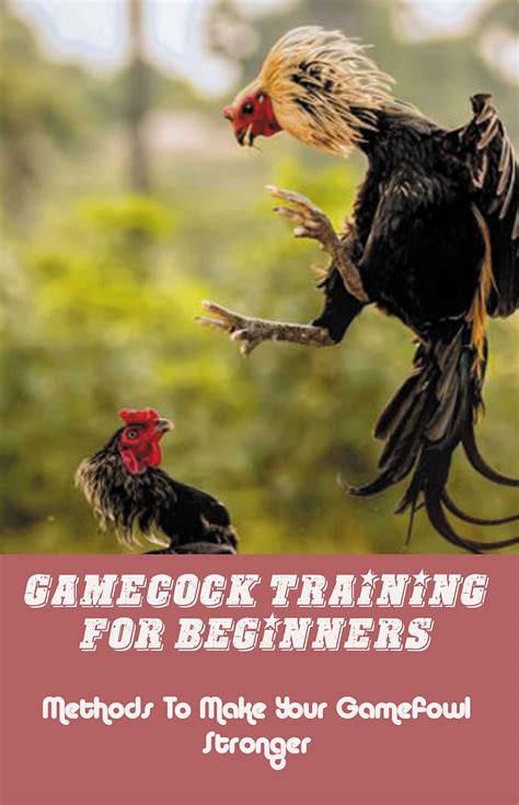 how to use bexan xp|Training Gamefowl: How to Make Gamefowl Stronger.